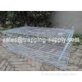 Porta Galvanized Pickeon Cage Trap